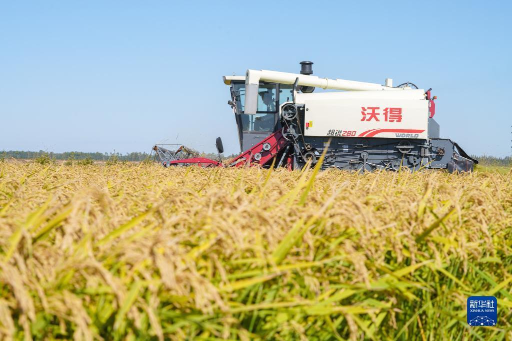 十博怎么登录不了